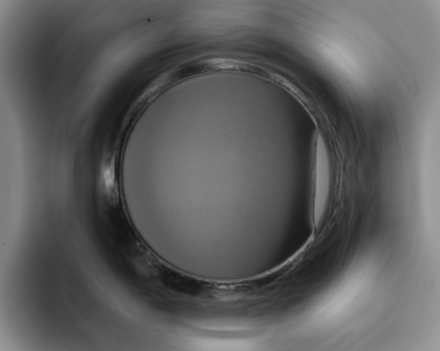 X0000091641198200709201102