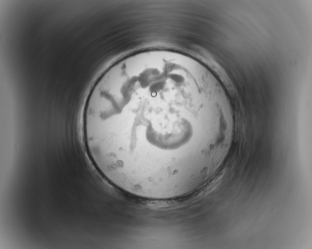 X0000091641199200709201102