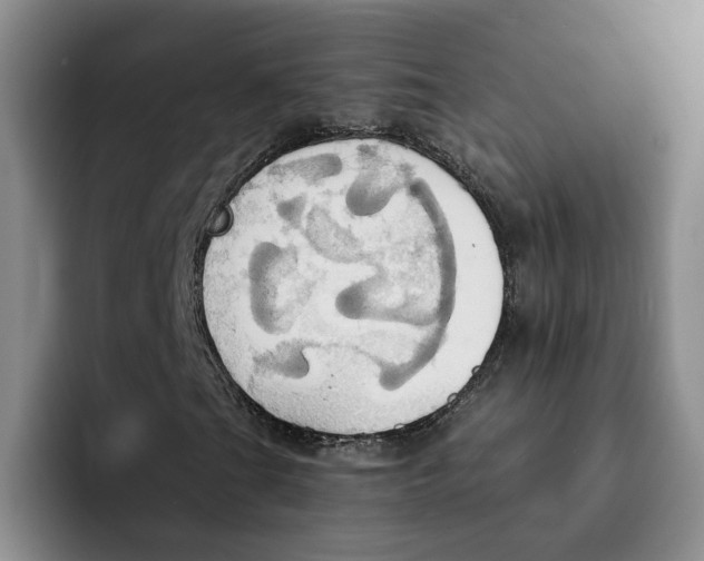 X0000091641201200709201102