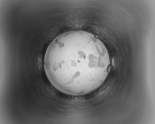 X0000091641203200709201102