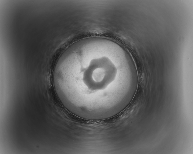 X0000091641205200709201102