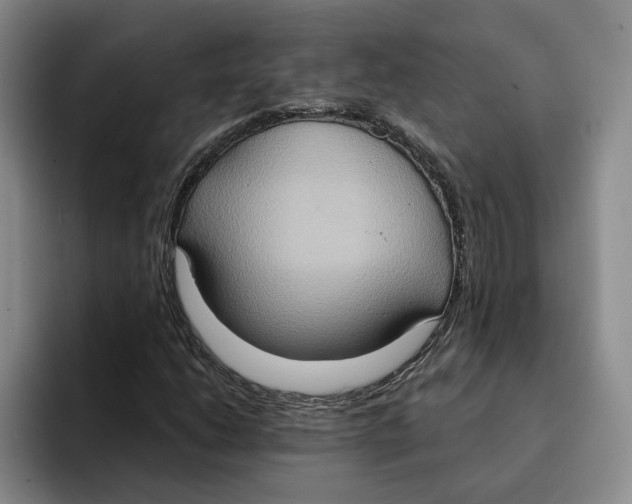 X0000091641206200709201102