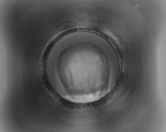 X0000091641208200709201102