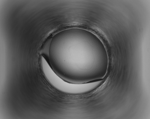 X0000091641210200709201102