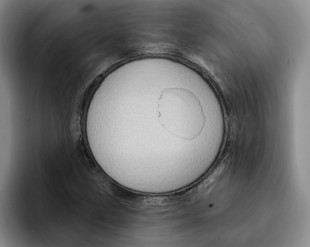 X0000091641211200709201102