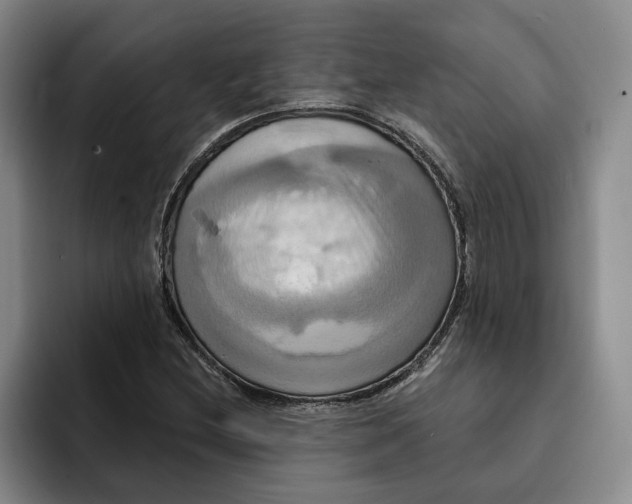 X0000091641212200709201102