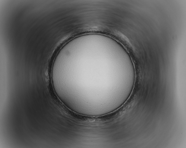 X0000091641218200709201102