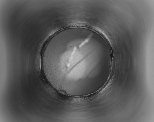 X0000091641219200709201102