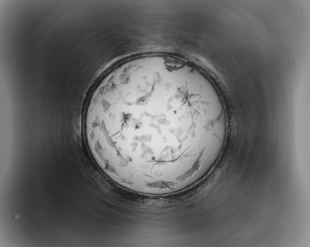 X0000091641220200709201102