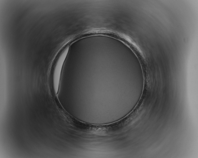 X0000091641221200709201102