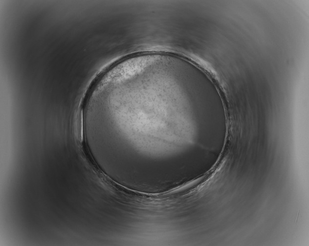 X0000091641223200709201102