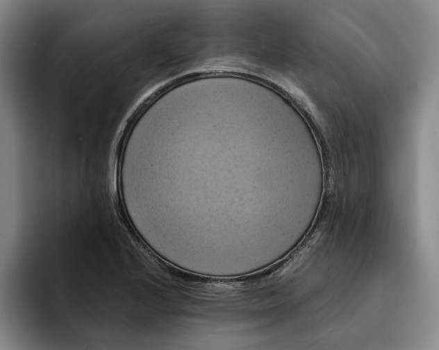 X0000091641224200709201102