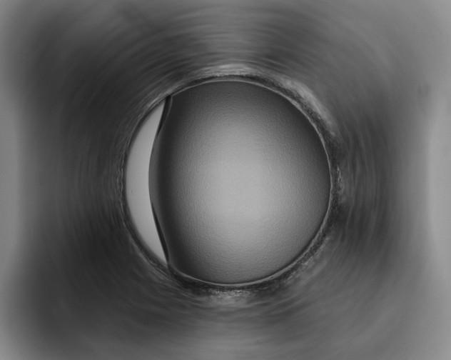 X0000091641225200709201102