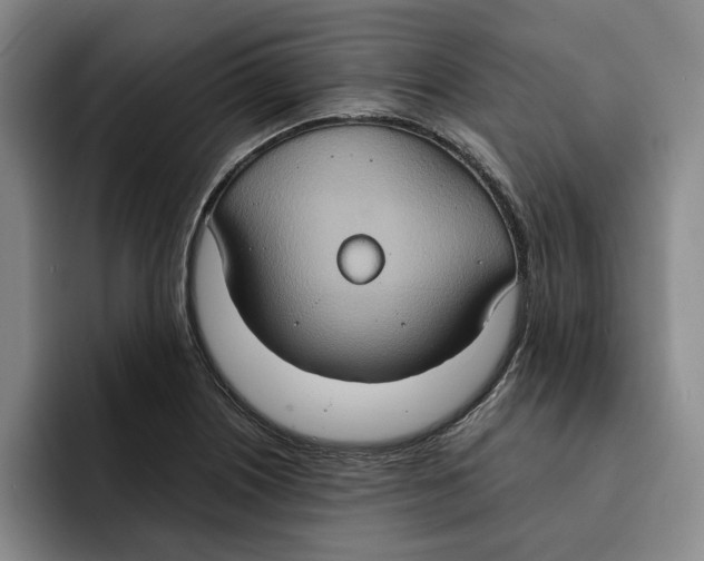 X0000091641226200709201102