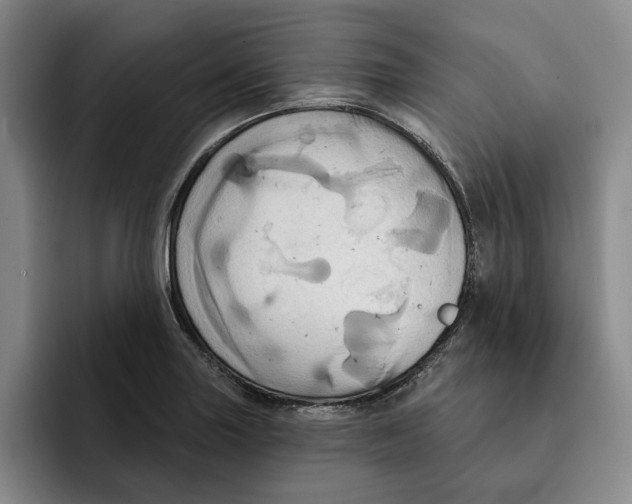 X0000091641227200709201102