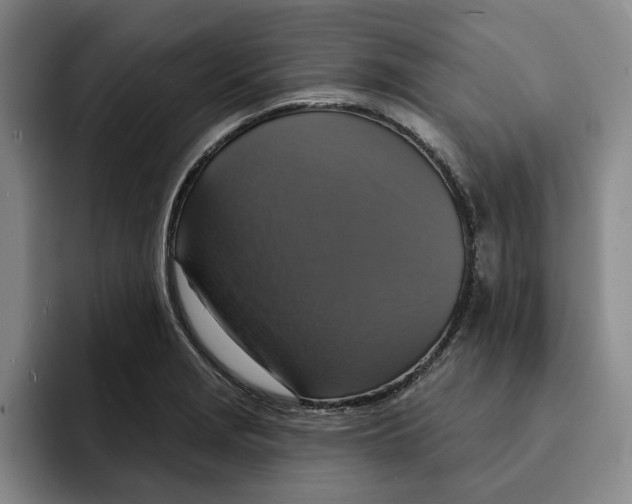 X0000091641229200709201102