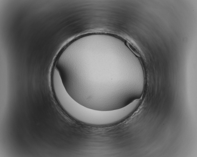 X0000091641230200709201102