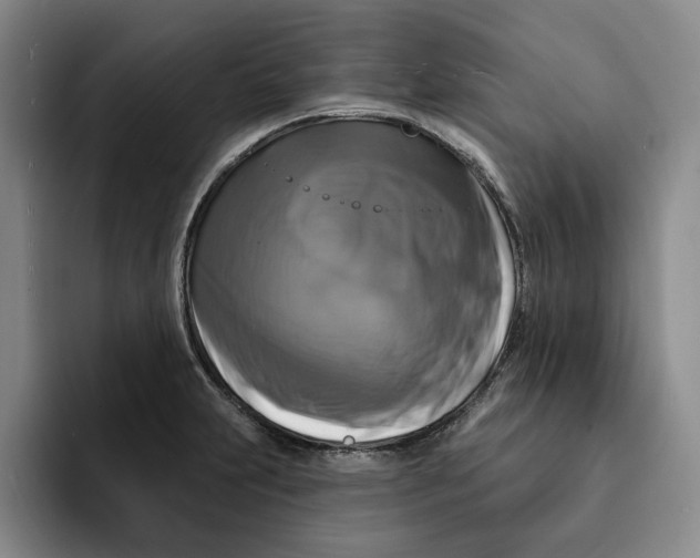 X0000091641231200709201102