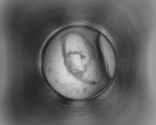 X0000091641232200709201102