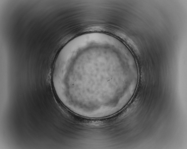 X0000091641233200709201102