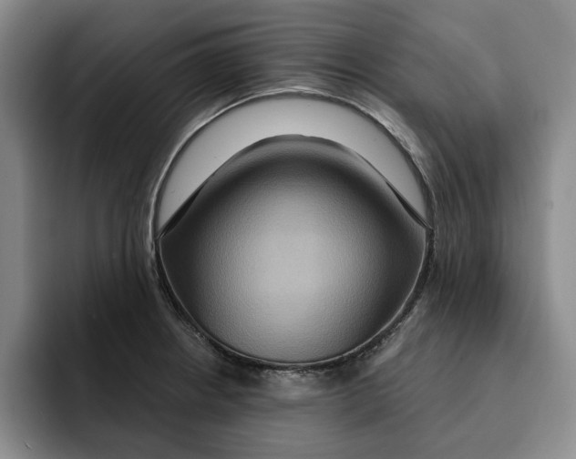 X0000091641234200709201102