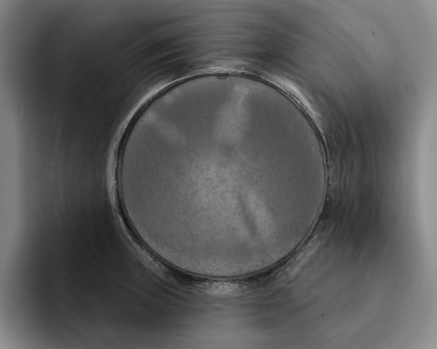 X0000091641235200709201102