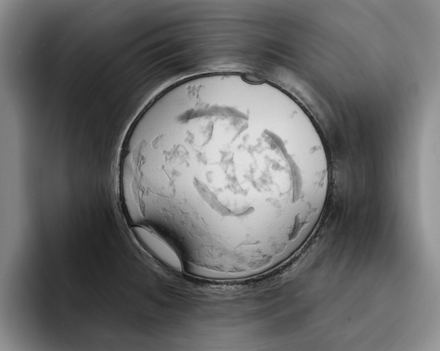 X0000091641236200709201102
