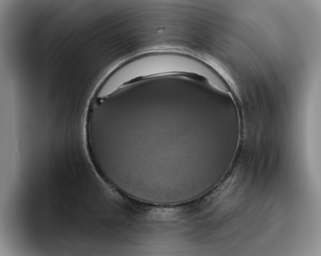 X0000091641237200709201102