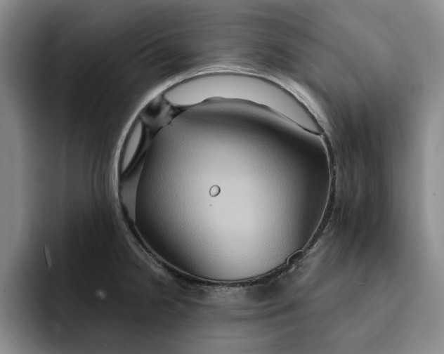 X0000091641238200709201102