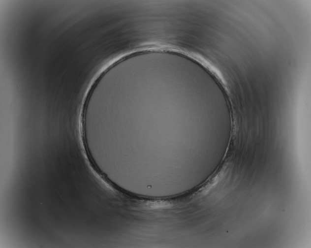 X0000091641239200709201102
