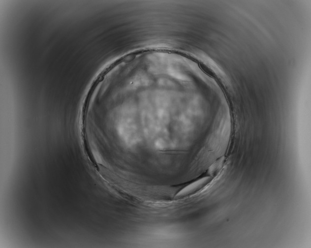 X0000091641240200709201102