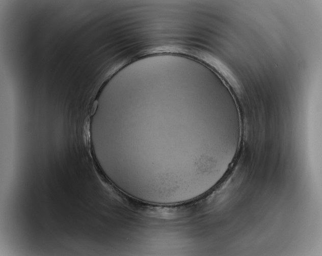 X0000091641241200709201102