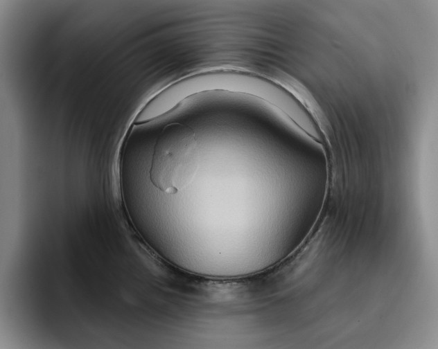X0000091641242200709201102
