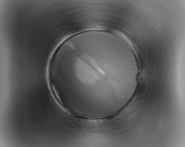 X0000091641243200709201102