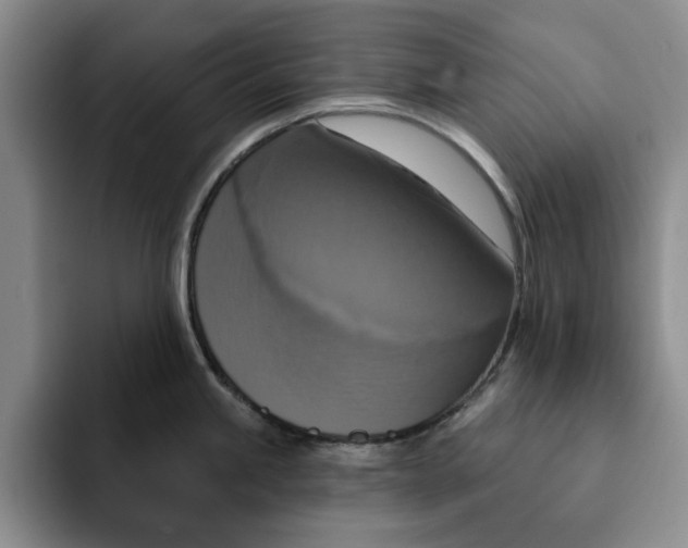 X0000091641245200709201102
