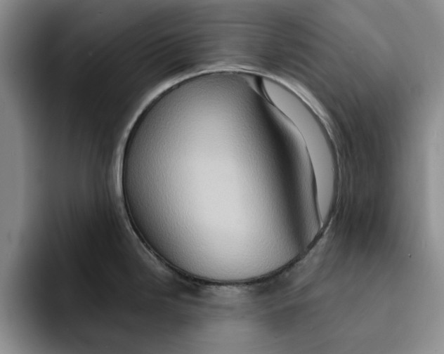 X0000091641246200709201102
