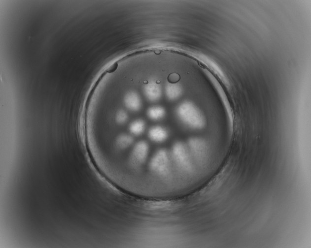 X0000091641247200709201102