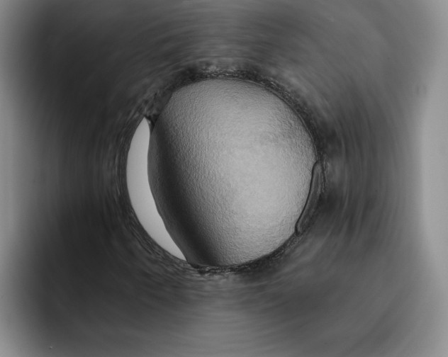 X0000091641250200709201102