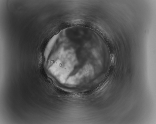 X0000091641251200709201102