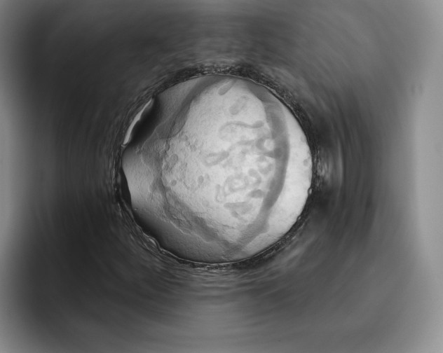 X0000091641252200709201102
