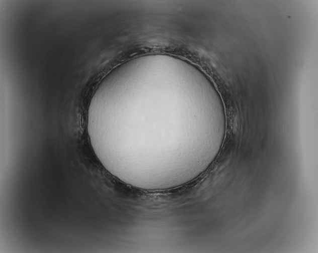 X0000091641253200709201102