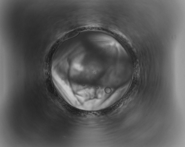 X0000091641255200709201102