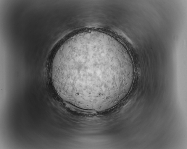 X0000091641256200709201102