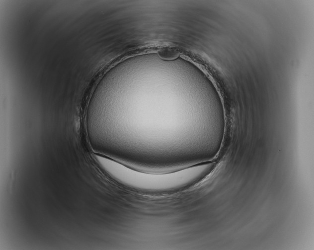 X0000091641257200709201102