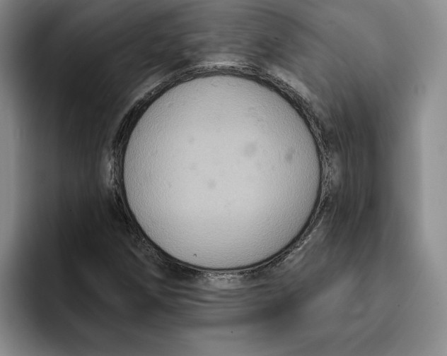 X0000091641258200709201102