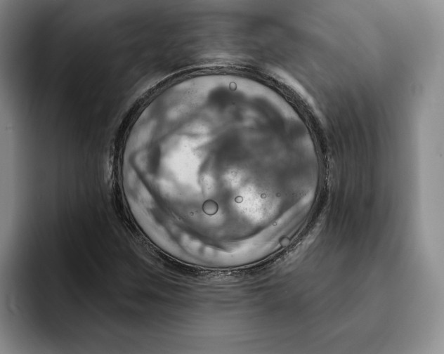 X0000091641259200709201102