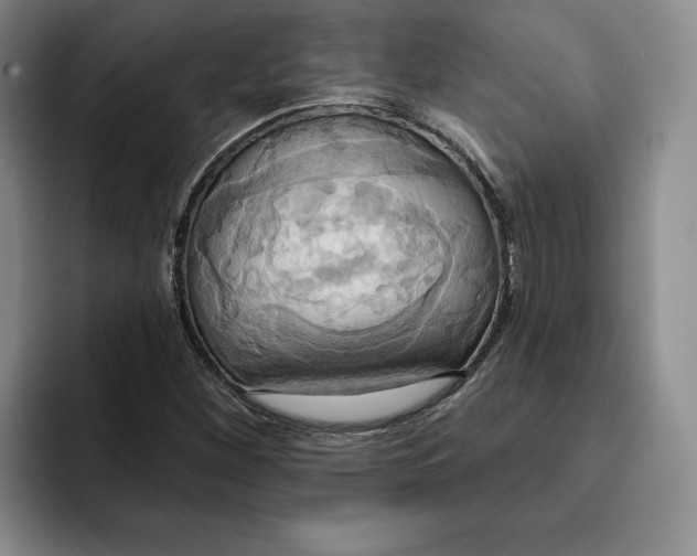 X0000091641260200709201102
