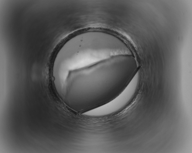 X0000091641263200709201102