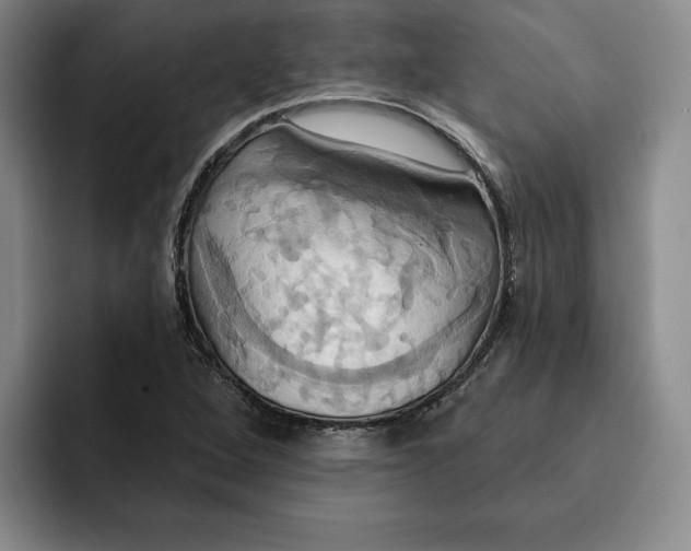 X0000091641264200709201102