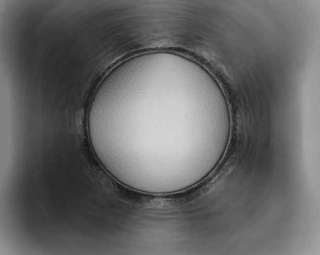 X0000091641265200709201101